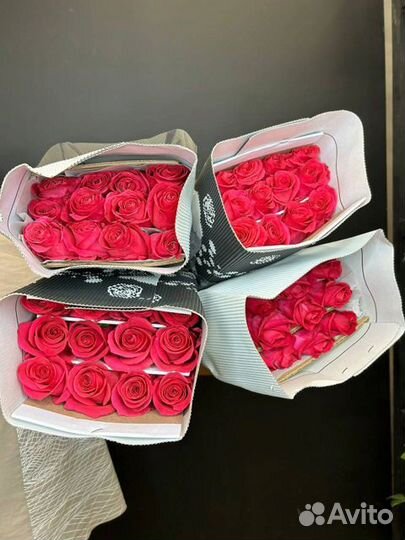 Роза Эквадор букет опт