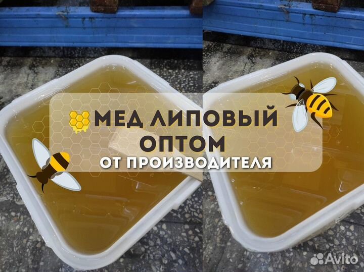 Липовый мёд Свежий Качка 2023 год