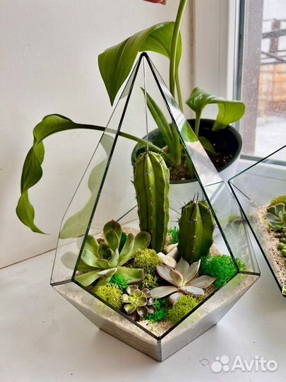 Флорариум, подарок