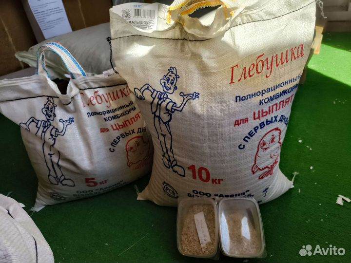 Старт для цыплят от 0 дней