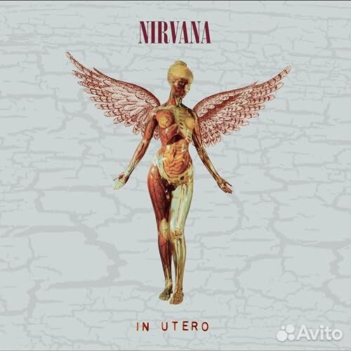 Nirvana - In Utero (30th Anniversary) (remastered) (Deluxe Edition) (2 CD)