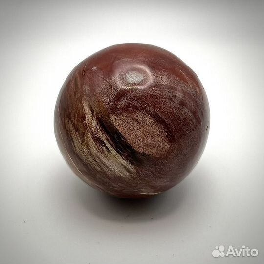 Шар из окаменелого дерева окаменелость ископаемое