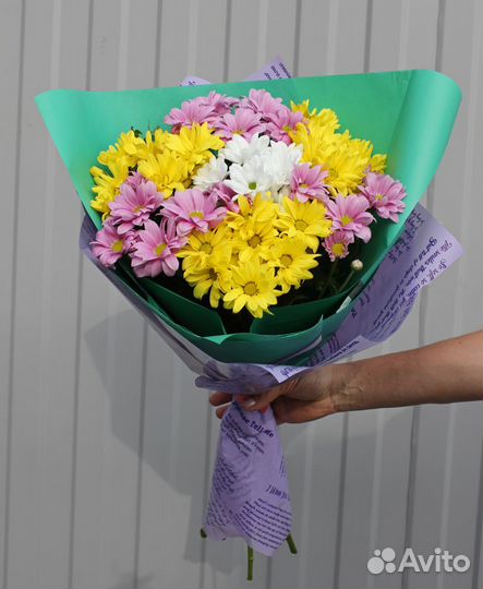 Хризантемы