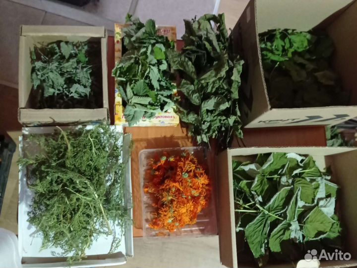 Травяной сбор