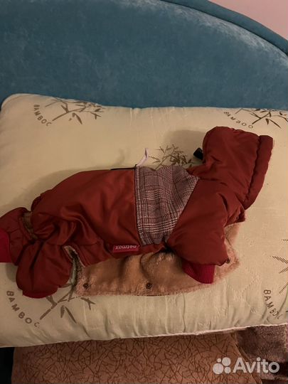 Зимний комбинезон для маленькой собачки