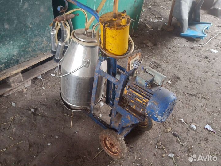 Доильный аппарат для коров бу