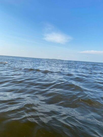 Участок 22 сот. (ИЖС)