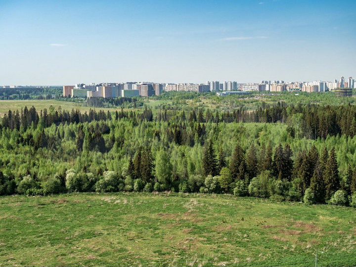 1-к. квартира, 25,8 м², 9/9 эт.