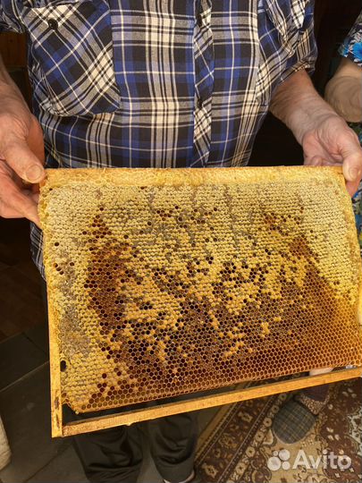 Рамки с медом