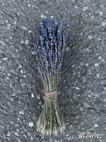 Букет лаванда (сухоцвет)