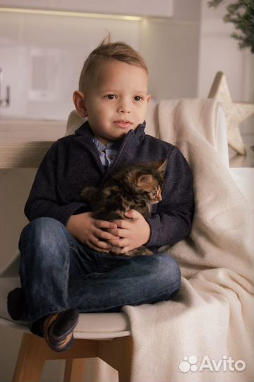 Фотосессия с животными