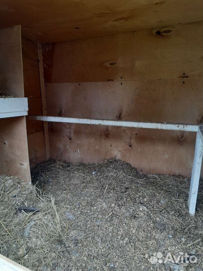 Курятник для кур