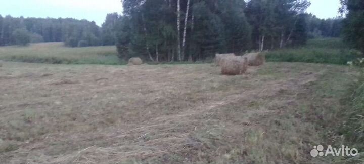 Сено в рулонах