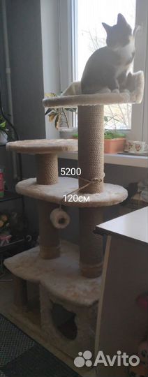 Домик для кота