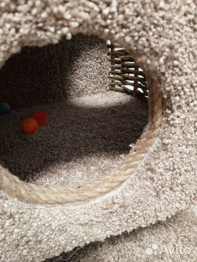 Товары для домашних животных