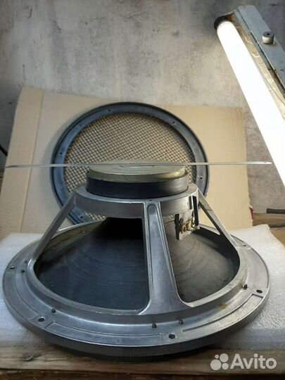 Динамик концертный