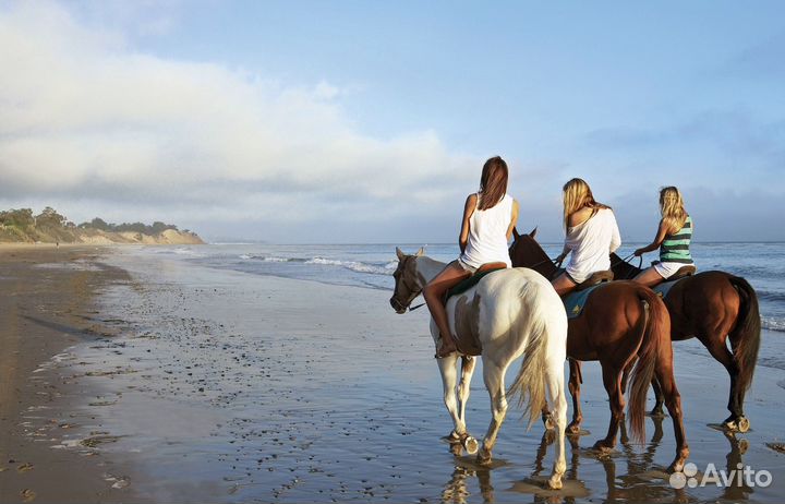 Ретрит тур в Крым