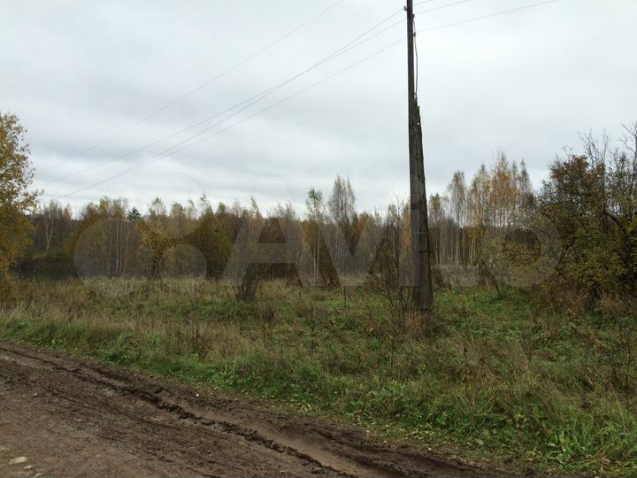 Участок 50 сот. (СНТ, ДНП)