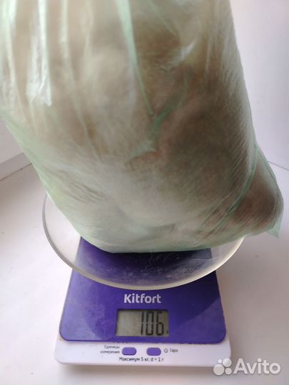 Пух собачий