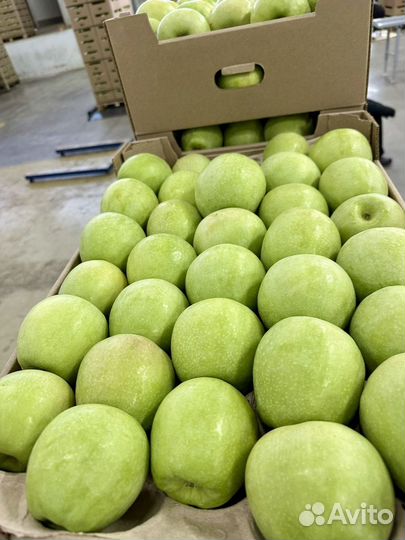 Яблоки разных сортов