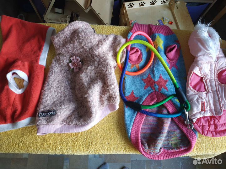 Одежда для маленькой собачки, шлейки, поводок