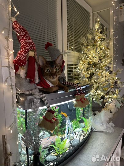 Елка новогодняя искуственная в горшке