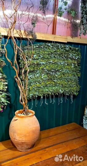 Пано из трав