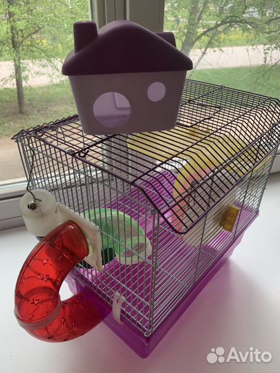 Клетка для хомяка с трубами