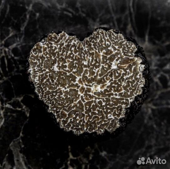 Трюфель Гриб - Tuber Aestivum