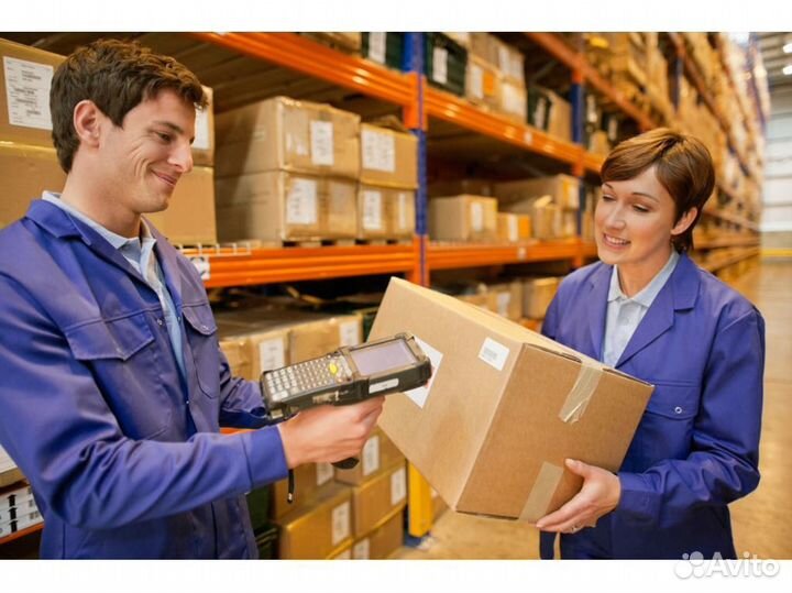 Сортировщик (ца)