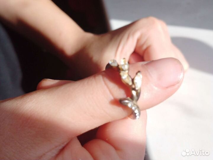 Кольцо СССР