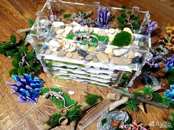 Муравьиная ферма с муравьями на Новый год