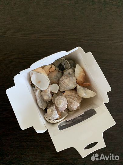 Набор ракушек для декора