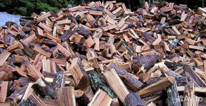 Береза для дров