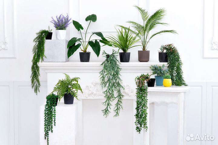 Искусственные растения / Искусственные цветы