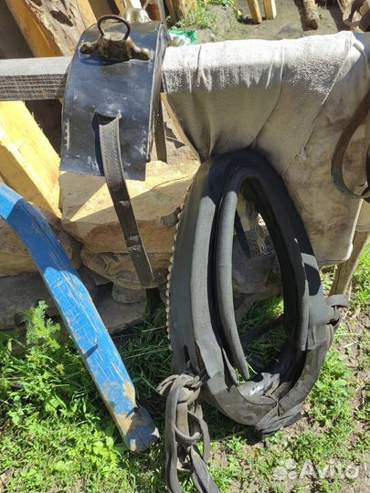 Конская упряжь