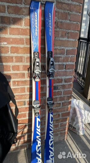 Горные лыжи