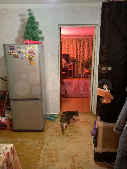 2-к. квартира, 43,7 м², 2/3 эт.