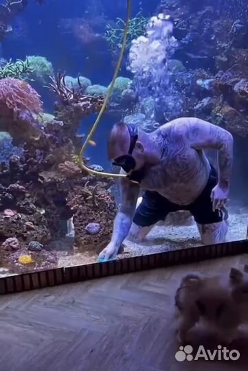 Чистка аквариума,запуск,помощь,консультация