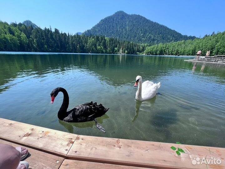 Весенний Тур на Байкал