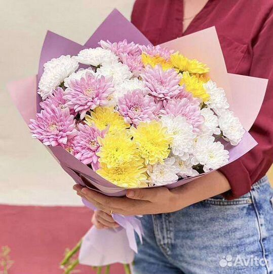 Хризантема кустовая белая и цветная