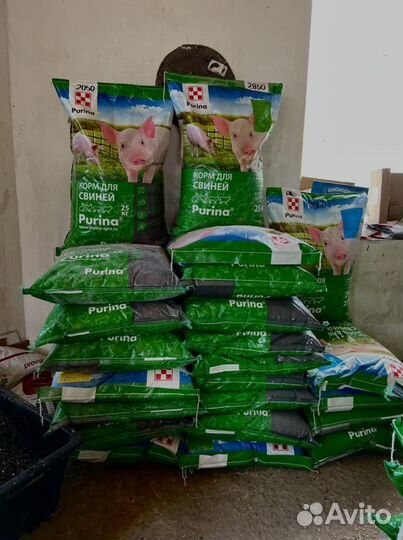 Комбикорм Purina