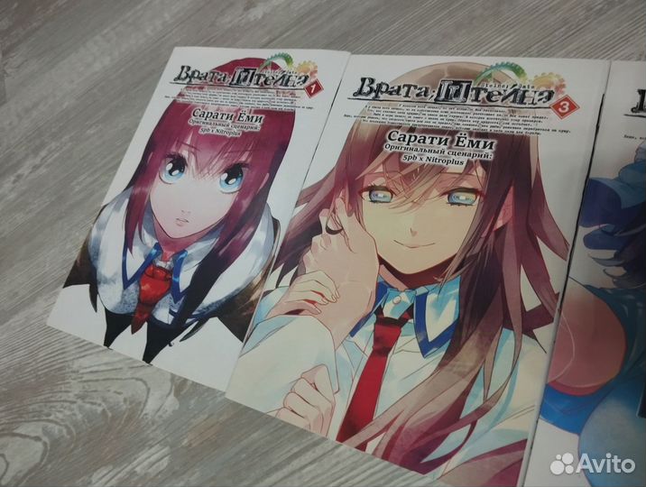 Врата Штейна все тома