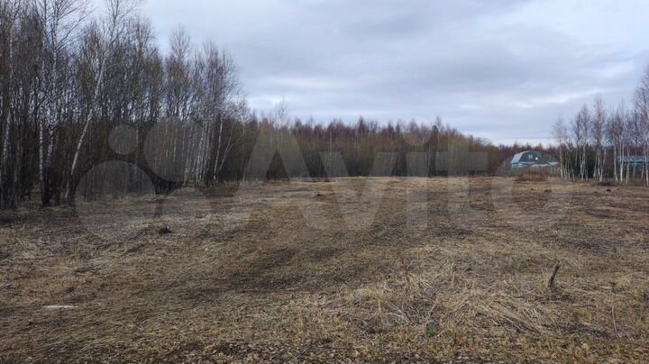 Участок 24,5 сот. (СНТ, ДНП)