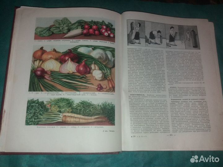 Краткая энциклопедия домашнего хозяйства Том2 1959