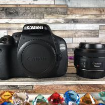 Canon EOS 600D kit EF 50mm f/1.8 STM (A436)