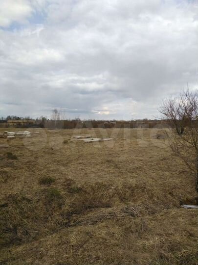 Участок 50 сот. (ИЖС)