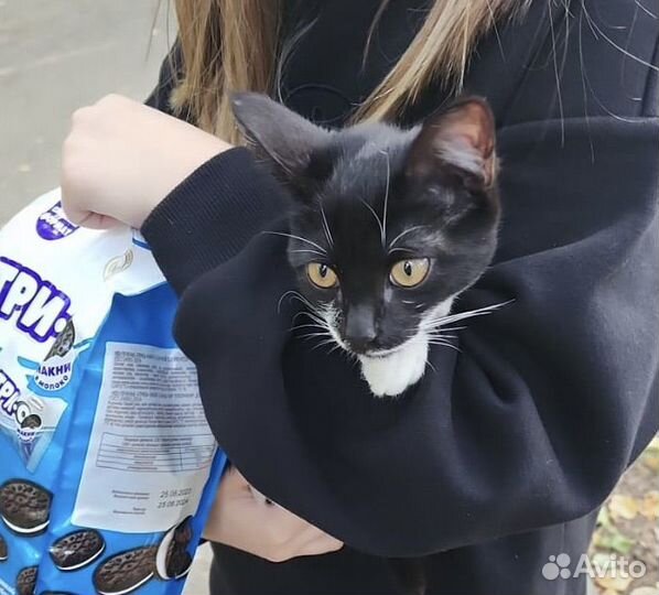 Кашка в дар