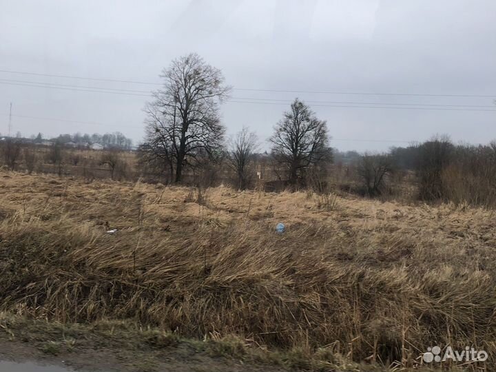 Конский навоз