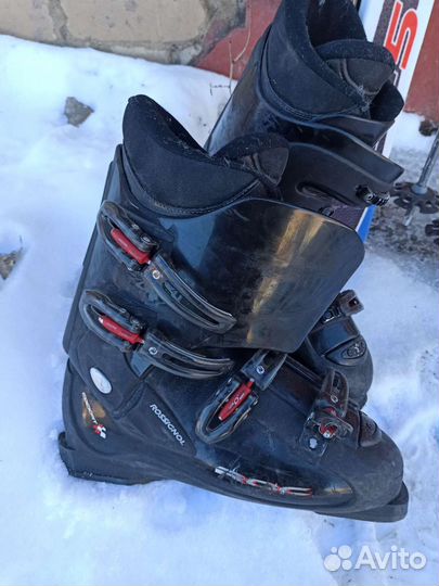 Горные лыжи